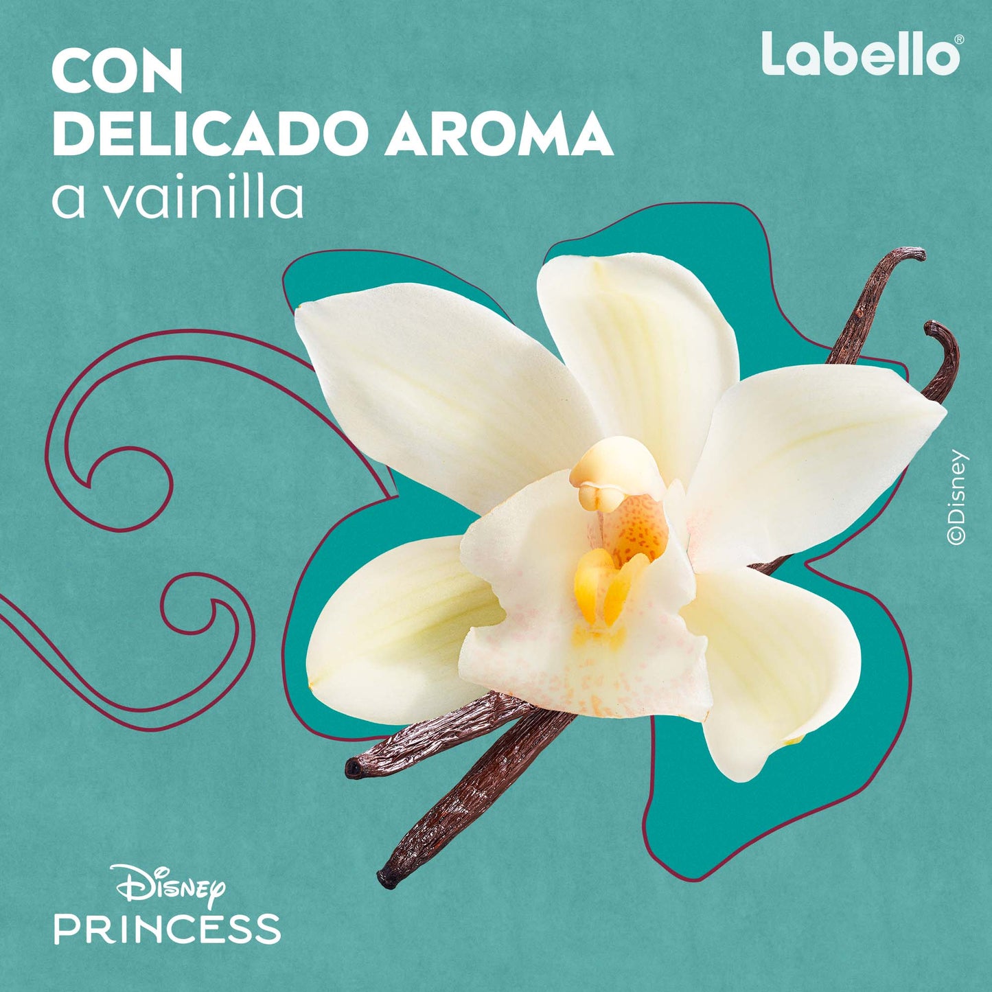 Labello Vainilla Shine Cenicienta Edicion Limitada Princesas Disney 4,8GR
